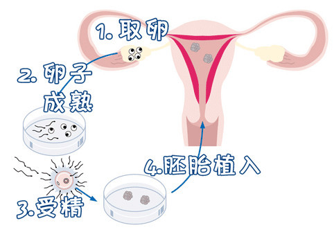 陈副主任医师